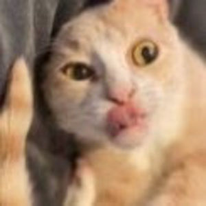 Meet your Posher, Itsmialuv